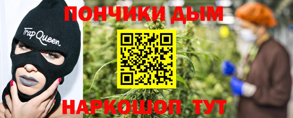 Каннабис сатива  Марихуана гибрид  Партизанск  Каннабис планчик  Вход с VPN 